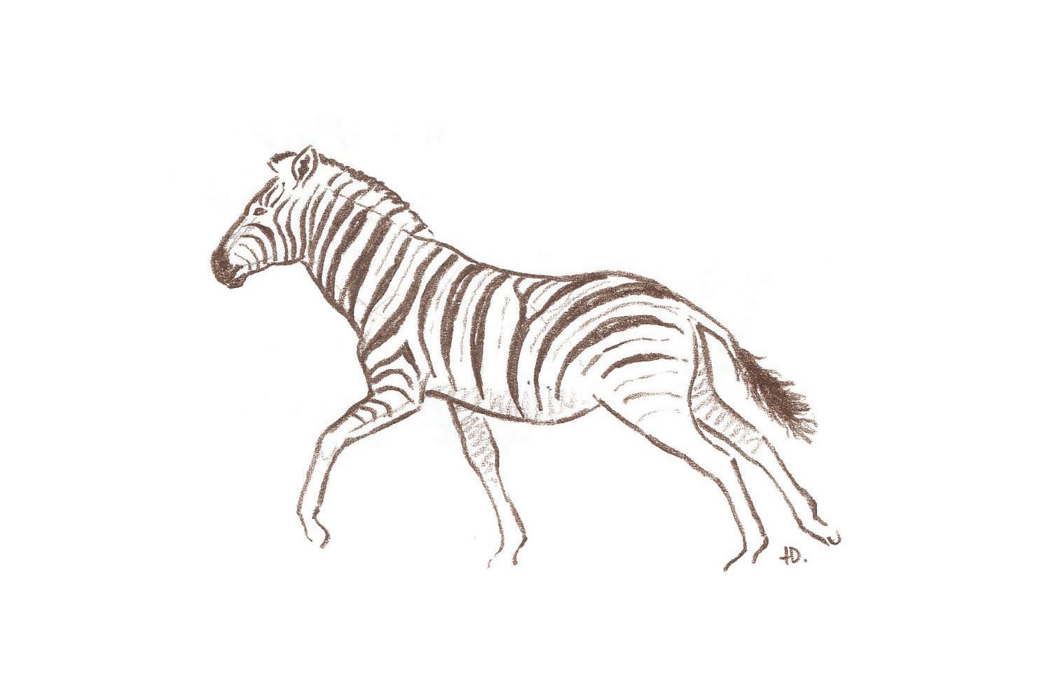 Zebrasafari mit Ondese