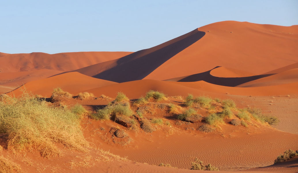 Ondese Safaris in the Namib Desert